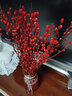 开时果 银柳鲜枝干花年宵花卉 红色真花福桶银柳水培植物室内装饰鲜花 【60cm】银柳40枝（喜庆红） 实拍图