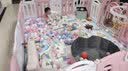 幼贝臣儿童游戏围栏宝宝婴儿学步爬行垫安全护栏栅栏家用室内儿童游乐场 1.86m*2.29m粉白+秋千画板+篮球架 实拍图