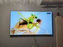 LG电视C4系列 77英寸 OLED77C4PCA 4K超高清 巨幕影院级电视 120HZ高刷 杜比视界&全景声 以旧换新 实拍图