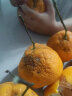 四川眉山丑橘不知火 高甜无渣 果园现发 优质产区柑橘 5斤特大果(单果80mm+) 晒单实拍图