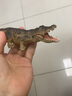 MECHILE仿真动物模型玩具套装野生动物园认知老虎长颈鹿大象犀牛斑马鳄鱼 实心鳄鱼 实拍图