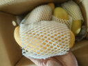 京鲜生海南金煌芒芒果 2.5kg装 单果300g以上 新鲜水果 实拍图