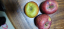 智田喜四川大凉山盐源丑苹果冰糖心脆甜红富士时令新鲜水果孕妇小孩可吃 丑苹果净重5斤/单果70-80mm 实拍图