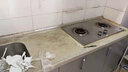 三青瓷砖漆改色厨卫陶瓷大理石台面地砖专用翻新改色漆水性真石艺术漆 白色 0.4kg【约涂刷2㎡/两遍】 实拍图