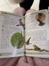 大自然博物馆·百科珍藏图鉴系列--鸟 晒单实拍图
