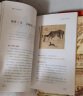 我去故宫看历史（全四册） 课外阅读 暑期阅读 课外书 实拍图