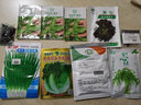 寿禾 冰菜冰草种子冰晶农家四季播蔬菜种孑阳台秋冬季盆栽菜籽种籽 冰草种子1万粒装+肥料+种植资料 实拍图