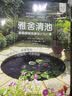 雅舍清池——家庭庭院池塘设计与打造（庭要素）池塘形状、风格，配套景观，植物鱼类养护，设计师推荐 实拍图