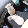 jolly pet products兔子水果干蔬菜干零食龙猫仓鼠荷兰猪零食小宠小食小吃 仓鼠兔子迷你小玉米160克 实拍图