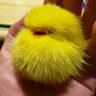 毛绒小黄鸭车钥匙扣女士汽车钥匙挂件包包挂饰背包书包新年钥匙链 黄色 实拍图