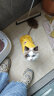 爱它乐猫狗服装春秋夏季卫衣小宠物泰迪猫咪外套撞色黄蓝大 晒单实拍图