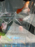亲卫（QIWEE）鱼缸孵化盒孔雀鱼繁殖盒斗鱼亚克力隔离盒热带鱼产卵房 实拍图