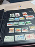 东吴收藏 PCCB/明泰 集邮册邮票册纸币册 九孔内页 9孔活页册 实拍图
