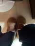 回力厚底勃肯大棉鞋女款加绒外穿毛毛鞋冬季学生保暖加棉加厚雪地靴 驼色 35 实拍图