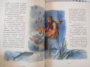 世界经典童话美绘珍藏版·安徒生童话 实拍图