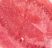 海南麒麟西瓜 甜瓜 1粒装 单果2.5kg以上 新鲜水果 实拍图