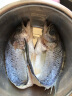 卖鱼郎先生国产三去海鲈鱼1500g/3条  生鲜 鱼类冷冻鲈鱼 海鲜水产  晒单实拍图