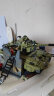 星堡积木（XINGBAO）大型军事积木坦克装甲车飞机模型摆件儿童拼装玩具男孩生日礼物 06015天蝎霸虎坦克兼容乐·高 实拍图