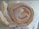 水星家纺 玉米纤维被 A类标准超软SOFT仿生科技 四季可用被子被芯 云柔·玉米卷卷四季被 200cmx230cm 实拍图