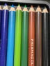 Prismacolor培斯玛彩色铅笔 彩铅笔 12色油性大师级画笔挂装 绘画艺术写生手绘美国三福霹雳马 实拍图