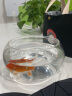 共度（Gong Du）玻璃鱼缸球形圆形缸生态草缸乌龟缸居家创意桌面水族箱观赏金鱼缸 小号裸缸 直径20cm 口径15cm 高度10cm 实拍图