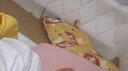 柯斯德尼（kidsneed）婴儿童枕套纯棉纱布双面可用宝宝枕头套3-8岁 32cm*54cm*9cm 实拍图