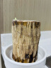 沭之美水培花卉绿植盆栽植物 巴西木9-10cm+陶瓷托盘+格鲁特+营养液 晒单实拍图