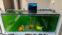依华莱斯官方室内大鱼缸自动喂鱼器大锦鲤龙鱼户外小鱼池定时定量投喂器 EV615C黑1.5L双电款 晒单实拍图