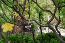 尼康（Nikon） 【国行全新】D7500 单反相机 （约2,088万有效像素 51点自动对焦系统） D7500 18-140赠64G卡相机包 备用电池 实拍图