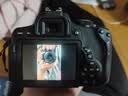 佳能（Canon）EOS 750D 760D 800D 850D 77D 二手单反相机高清数码照相机 99新 750D EF 18-55mm STM 标配【无内存卡等配件，套餐更划算】 99新 实拍图