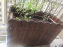 斗途园艺 防腐木花箱实木花盆长方形阳台种菜盆景特大种植箱户外支持定制 长宽高60*30*40 大 实拍图