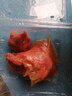 德荣（DERONG） 河南太康马头无汤牛肉熟食真空即食五香黄牛肉酱肉卤牛肉下酒菜 少许汤汁250克*4袋 实拍图
