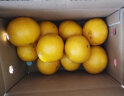 京鲜生 四川眉山黄金柑 果冻橙 2.5kg礼盒 单果180g起 新鲜水果 实拍图