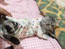 柒哦裹猫布猫咪固定神器剪指甲包防抓防咬包猫布自粘宠物洗澡猫包猫袋 涂鸦款S【45*45cm 8斤内】 实拍图