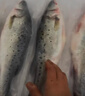 裕琳珑 海鲈鱼 新鲜海捕整条活冻七星海鲈鱼 海鲜水产生鲜 鱼类 整条海鲈鱼5条装(0.7-1斤/条) 实拍图