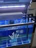 森森（SUNSUN）鱼缸过滤器壁挂式水族箱外置草缸过滤设备 【带除油膜】过滤器+滤材(适用50cm以下缸) 实拍图