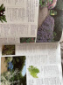 DK 世界园林植物与花卉百科全书（最新版） 实拍图