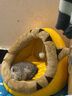 MinkSheen猫窝夏季四季通用 狗窝猫屋猫床网红狗窝小型犬幼犬狗垫子可拆洗宠物用品 猫吉吉S-小型（7斤猫咪/5斤狗狗） 实拍图