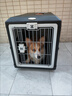 爱丽思（IRIS）航空箱宠物可折叠便携猫笼猫包狗狗猫咪宠物箱手提太空舱透气车载 黑色【含背带】 大号20公斤宠物 实拍图