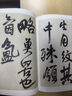 墨点字帖 王铎赠张抱一诗卷 历代经典碑帖高清放大对照本毛笔字帖 实拍图