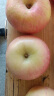 宏辉果蔬烟台特级红富士苹果水果新鲜当季脆甜大果中果超大果160-240g单果 85mm（含）-90mm(不含) 10斤 晒单实拍图