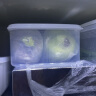Daisy Leaf 日本进口冰箱保鲜盒食品级冰箱收纳盒母乳专用冷藏盒3L-3个装 实拍图