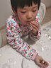 臻味坚果礼盒每日坚果干果天天坚果混合果仁 儿童孕妇休闲零食大礼包 每日坚果750g/盒(干湿分离装) 实拍图