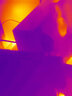 THERMAL MASTER艾睿天眼X2苹果版手机热成像仪红外热感探测测温仪手持户外热像仪 实拍图