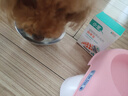 小宠 宠物益生菌50g 狗狗猫咪肠胃宝 1500亿活性益生菌 幼宠新生小犬幼猫 肠胃呵护 【犬猫】肠胃宝5g*10袋/盒 实拍图