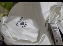 卡尔美（KELME）运动紧身衣男秋季长袖打底衫透气篮球足球弹力训练健身服 白色3891113(LOGO在左胸) L/175 实拍图