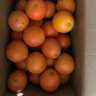 玖原农珍 赣南脐橙含箱10斤橙子优选大果 彩箱礼盒水果 实拍图