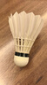 YONEX尤尼克斯羽毛球yy耐打鹅毛球AS15/AS5/AS9/AS20/AS30官方正品比赛 AS02 鸭毛球 12只装 1筒 【2速】 实拍图