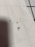 牙结石溶喷雾牙结石清理神器牙膏喷剂烟渍垢清除牙结石口腔护理 五盒囤货实惠 实拍图