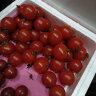 京鲜生 千禧圣女果 小西红柿 樱桃番茄 约1.5kg 水果礼盒 生鲜水果 实拍图